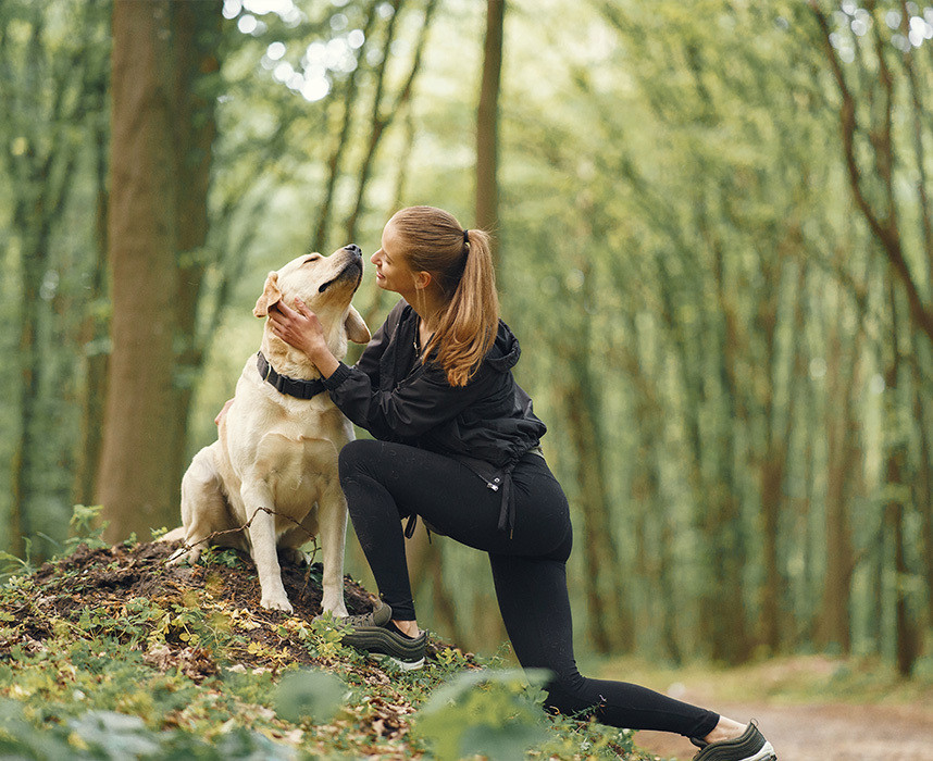 7 activités outdoor à faire avec son chien