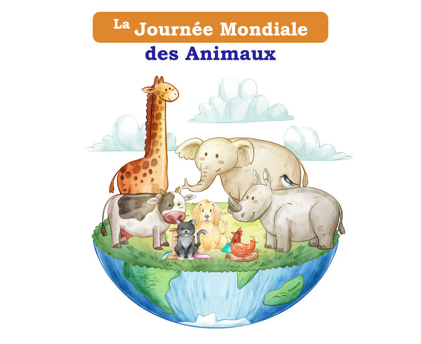 La Journée Mondiale Des Animaux Ooba Ooba La Journée Mondiale Des Animaux Ooba Ooba