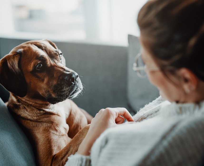 Dans la Marne, un chien égaye le quotidien des retraités Ooba Ooba