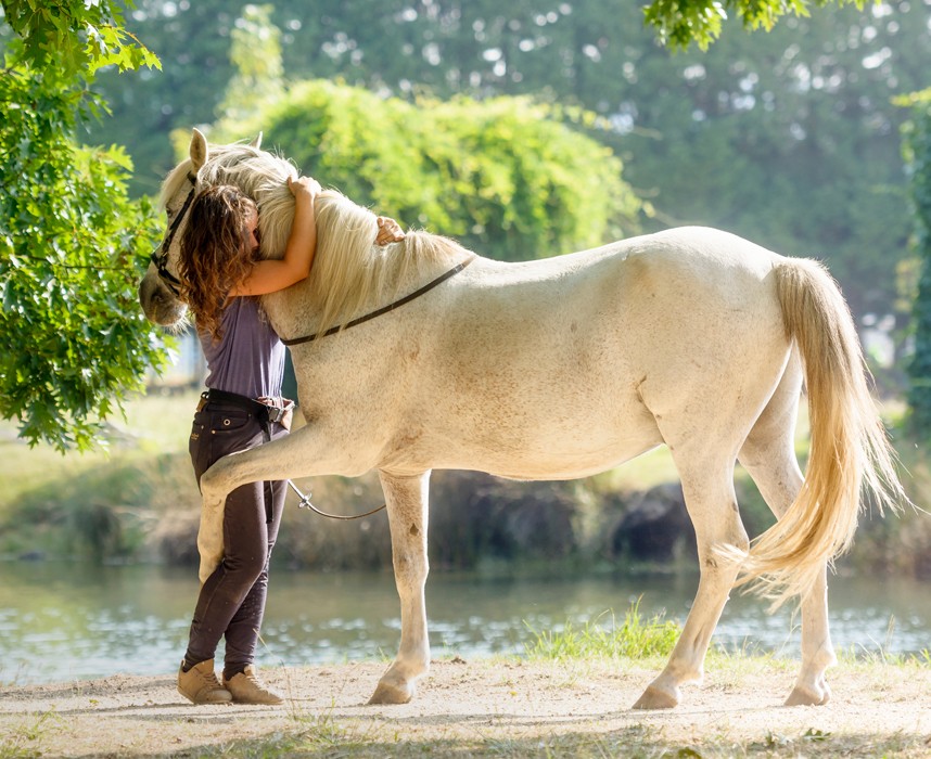 Le bien-être du cheval, condition essentielle d'une bonne santé  Ooba Ooba