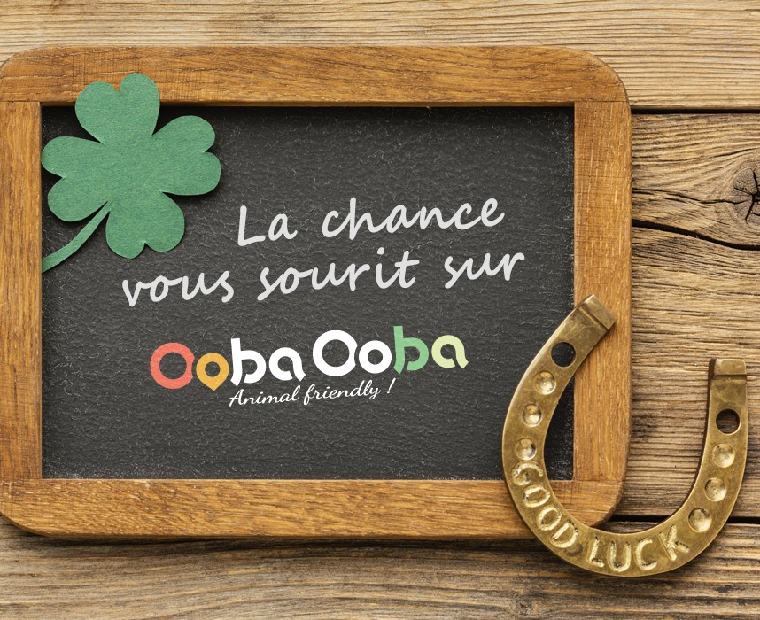 Le fer à cheval : porte-bonheur et légendes Ooba Ooba Le fer à cheval : porte-bonheur et légendes Ooba Ooba