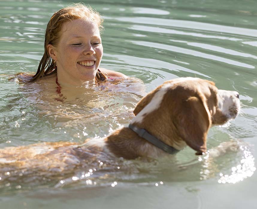 Lire l'article Rafraichir son chien cet été, ce qu’il faut savoir Ooba Ooba