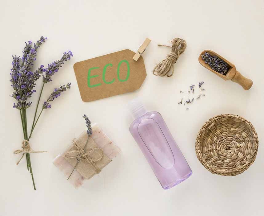 S’occuper de nos animaux avec des produits éco-responsables ! Ooba Ooba S’occuper de nos animaux avec des produits éco-responsables ! Ooba Ooba