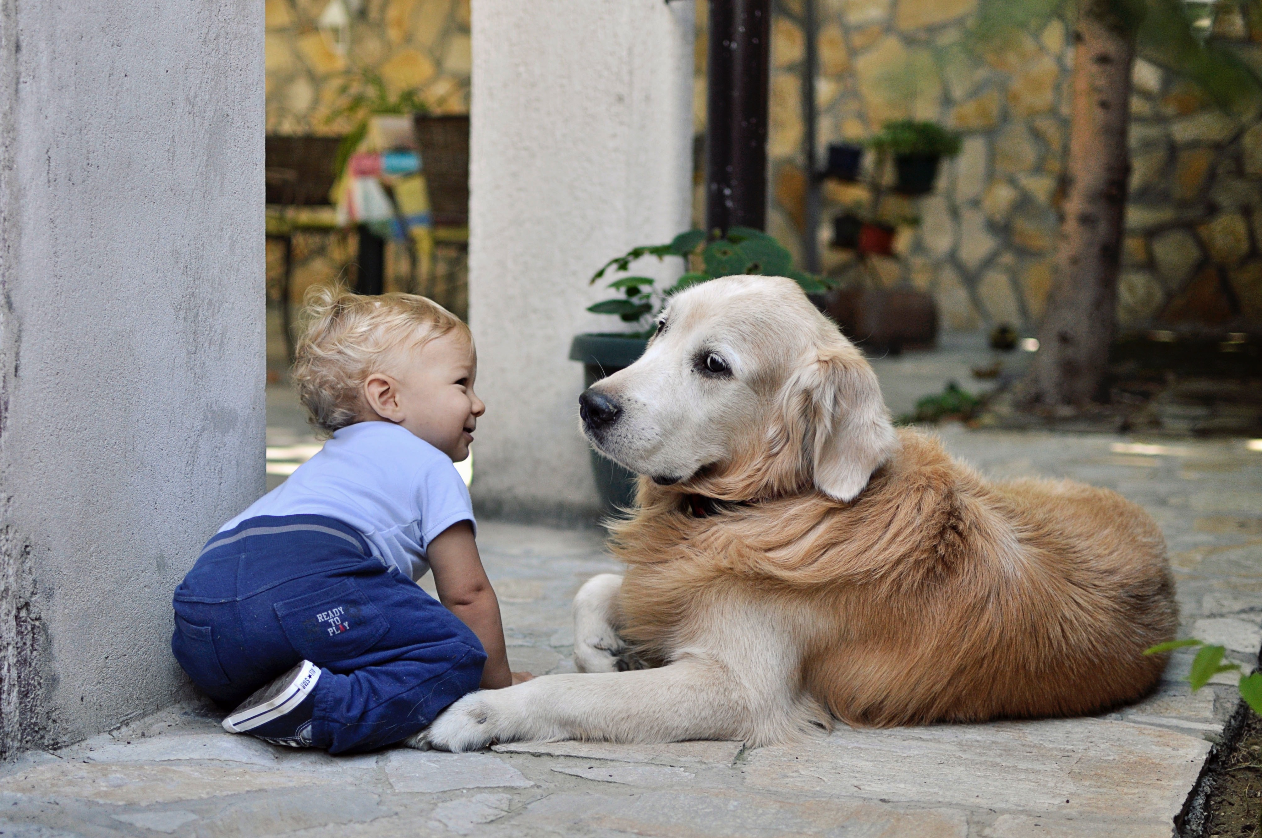 Bébé et animaux font-ils bon ménage ? Ooba Ooba