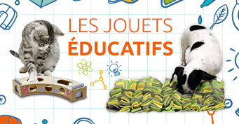 Les jouets éducatifs