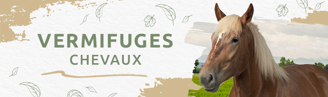 Vermifuge chevaux