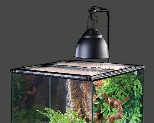 Chauffage Terrarium et accessoires