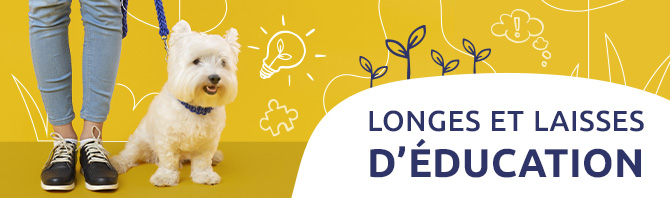 Longes et laisses d'éducation