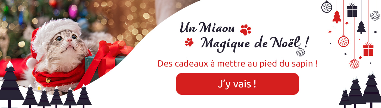 Noël du chat