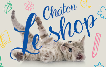 Shop chaton