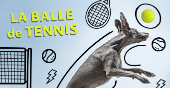 La balle de tennis