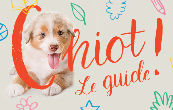 Le guide du chiot