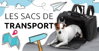 Les sacs de transport pour chien