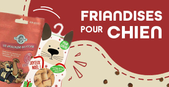 Friandises chien