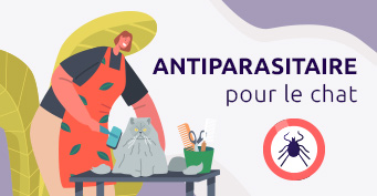 Antiparasitaire pour le chat