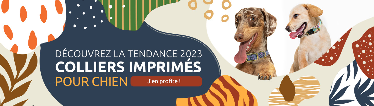 Colliers imprimés et tendances