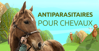 Antiparasitaire chevaux