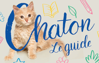 Le guide du chaton