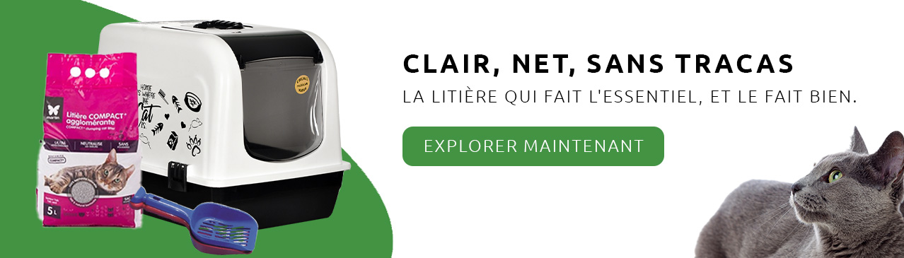 Litière