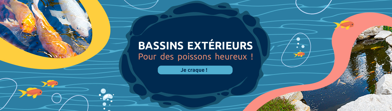 Bassins extérieurs