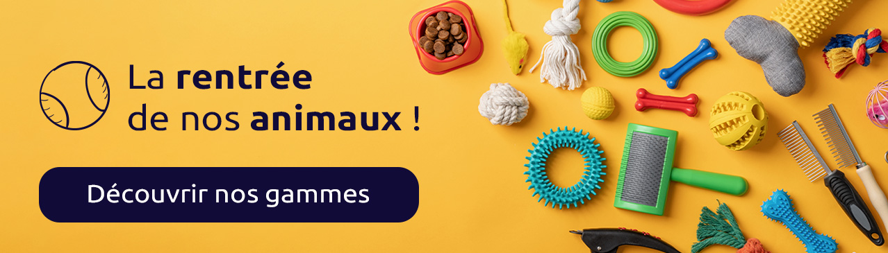 Rentrée : Jouets occupations