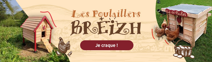 Les poulaillers de Breizh
