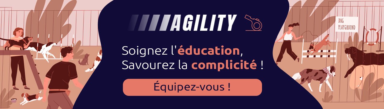 Accessoires éducation, friandises, longes, sifflet (Agility)