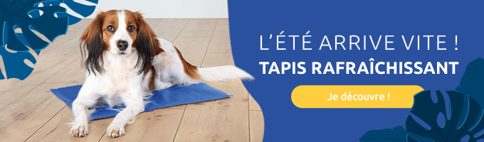 Tapis rafraichissants